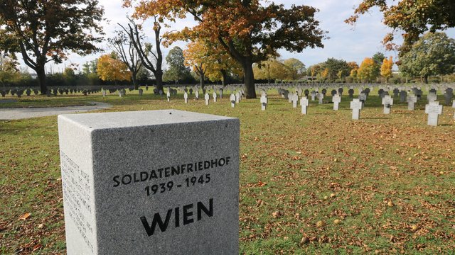 (Foto: RedTD/Miriam Hirschhofer)