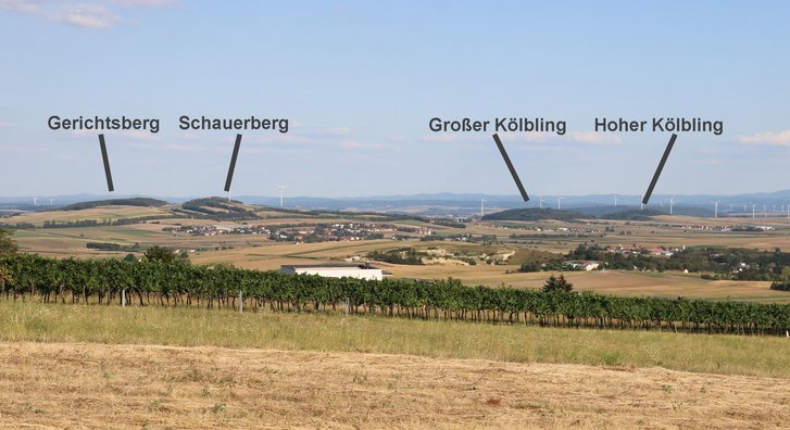 Gerichtsberg, Schauerberg, Großer und Hoher Kölbling befinden sich etwa zwei Kilometer östlich der Traisen bei Herzogenburg. Im Osten begrenzen sie die Wölblinger Bucht. (Foto: RedTD/Gerold Keusch)