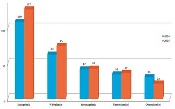 Die fünf häufigsten Beeinträchtigungen des Stütz- und Bewegungsapparates von 1.000 Präsenz- und Ausbildungsdienst leistenden Personen beim JgB18 in absoluten Zahlen. (Tabelle: M. Krempl)