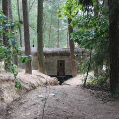 Der leichte MG-Bunker von der Rückseite mit Graben. (Foto: RedTD/Gerold Keusch)