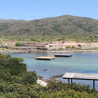 (Foto: Martin Prieschl)