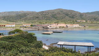 (Foto: Martin Prieschl)