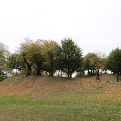 Aussichtspunkt Rondeau im Schlosspark. (Foto: RedTD/Gerold Keusch)
