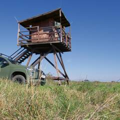 (Foto: RedTD/Gerold Keusch)