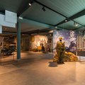 (Foto: Museo Nazionale Storico degli Alpini)