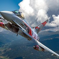 (Foto:  Bundesheer/Horst Gorup)