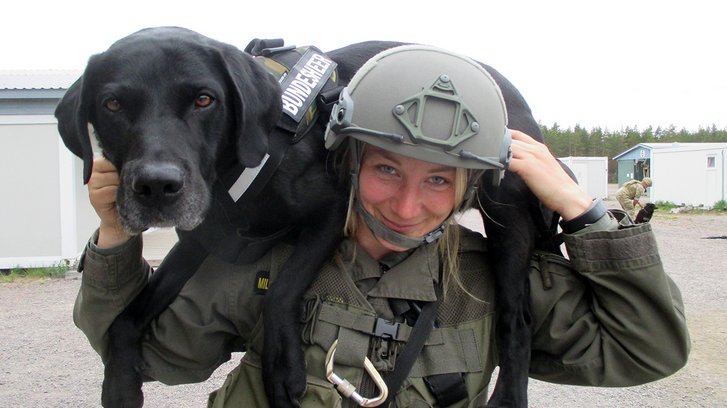 Eine Militärhundeführerin trägt ihren Kampfmittel­spürhund. (Foto: Archiv MilHuZ)