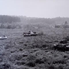 (Foto: Archiv Truppendienst)