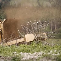 (Foto: Bundesheer/Kurt Kreiblich)