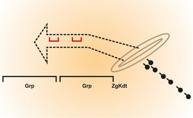 Ein eindeutig erkannter Gegner wird mit einem Stoß angegriffen. (Grafik: Ziegler, Montage: Rizzardi)