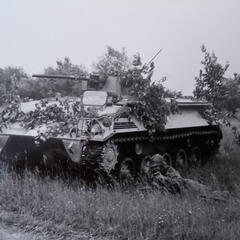 (Foto: Archiv Truppendienst)