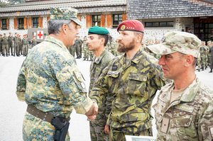 (Foto: Bundesheer/Johann Zaunbauer)