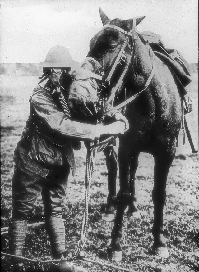 Foto: Ein US-Soldat und sein Pferd mit ABC-Schutzmasken. (Foto: Bureau of Medicine and Surgery/U.S. Navy/gemeinfrei)