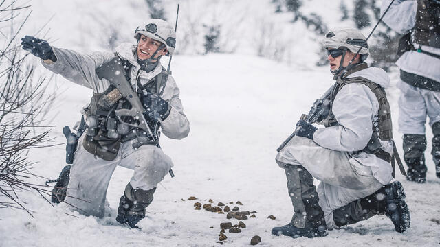 (Foto: Bundesheer/ Daniel Trippolt)