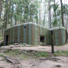 MG-Bunker vom Modell 37 der Waldstellung mit einem geländeangepasstem Grundriss. (Foto: RedTD/Gerold Keusch)