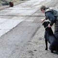 Eine Militärhundeführerin übt das Aufspüren von Kampfmitteln mit ihrem Militärhund. (Foto: Archiv MilHuz)
