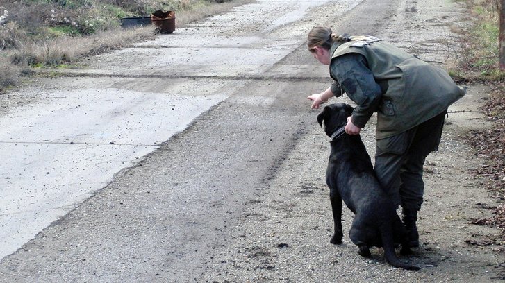 Eine Militärhundeführerin übt das Aufspüren von Kampfmitteln mit ihrem Militärhund. (Foto: Archiv MilHuz)