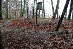 Der Hochstand beim Kampfgraben. (Foto: Keusch)