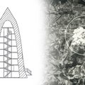(Fotos: Archiv Martinovic/Montage: Keusch)