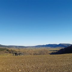Das  Gelände ist der Lehrsaal des Soldaten: Fähnriche beurteilen taktisch zusammengehöriges Gelände von einem Übersichtspunkt aus. (Foto: Bundesheer/Oliver Pilles)