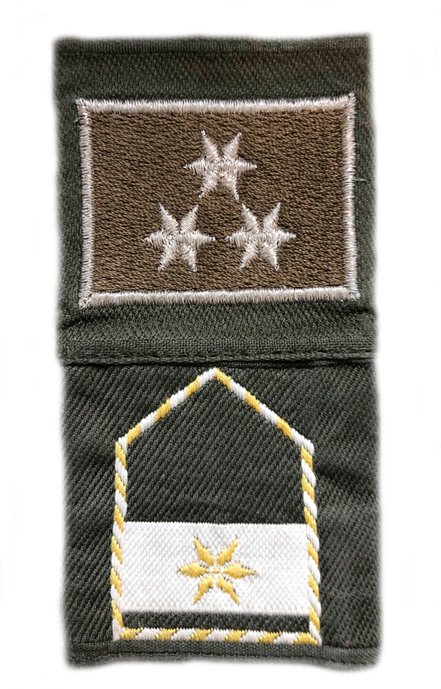 ... und als „Stoffabzeichen“. (Foto: Bundesheer)