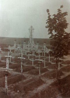Birkenkreuze kennzeichnen die Gräber der Bestatteten. (Foto: Archiv Martinovic)