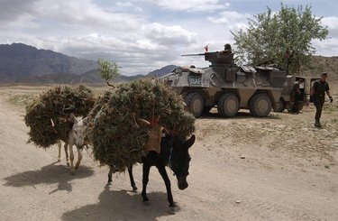 Der 'Pandur' im Einsatz bei einem Checkpoint in Afghanistan. (Foto: Bundesheer)