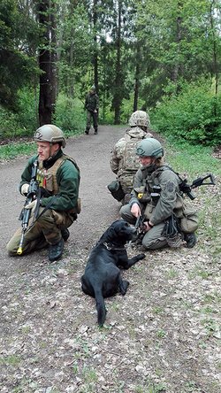 Die Kampfmittelspürhunde dürfen sich im Einsatz von anderen Soldaten der Gruppe nicht ablenken lassen. (Foto: Archiv MilHuZ)