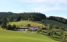 Auf dem Waldrand hinter dem Gehöft lagen sowjetische Einheiten, die von dort aus die deutschen Kräfte (vermutlch ein Zug) am Hinterleitner Kogel bekämpften. (Foto: RedTD/Keusch)