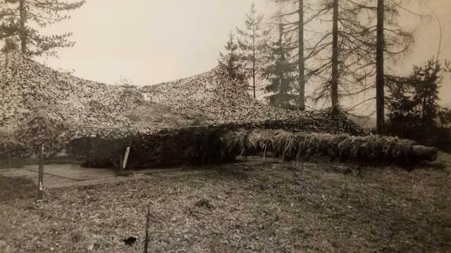 (Foto: Archiv Truppendienst)