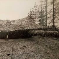 (Foto: Archiv Truppendienst)