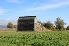 Ruine der MG-Justierhalle westlich von Markersdorf. (Foto: RedTD/Gerold Keusch)   