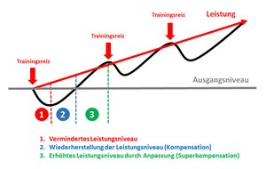 Das Prinzip der Superkompensation im Modell. (Grafik: RedTD/Keusch)