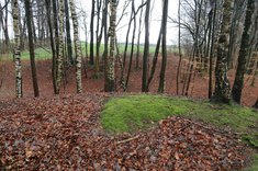 Blick nach Norden. Eine Umfassung des Gegners wäre von der freien Fläche aus möglich gewesen.  (Foto: Keusch)