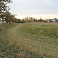 Der Graben des Kastells Richtung Enns. (Foto: RedTD/Gerold Keusch)