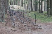 Die Maschinengewehre eines leichten Bunkers vom Modell 37 wirkten in den Waldstellungen flankierend zur Hauptangriffsrichtung entlang von Infanteriesperren. (Foto: RedTD/Gerold Keusch)