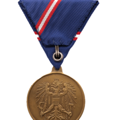 Die Wehrdiensterinnerungsmedaille in Bronze. (Foto: Peter Steiner)