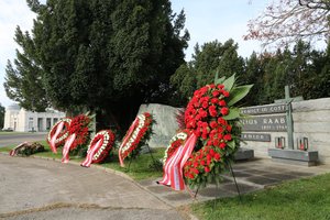 (Foto: RedTD/Miriam Hirschhofer)