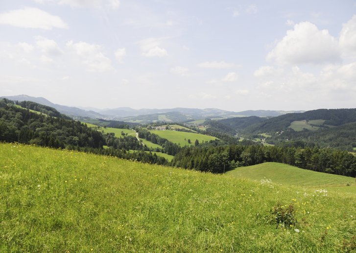 Blick vom Gerichtsberg gegen Westen auf das „Traisendreieck“.