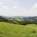 Blick vom Gerichtsberg gegen Westen auf das „Traisendreieck“.