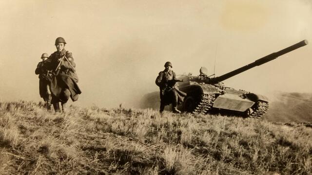 (Foto: Archiv Truppendienst)