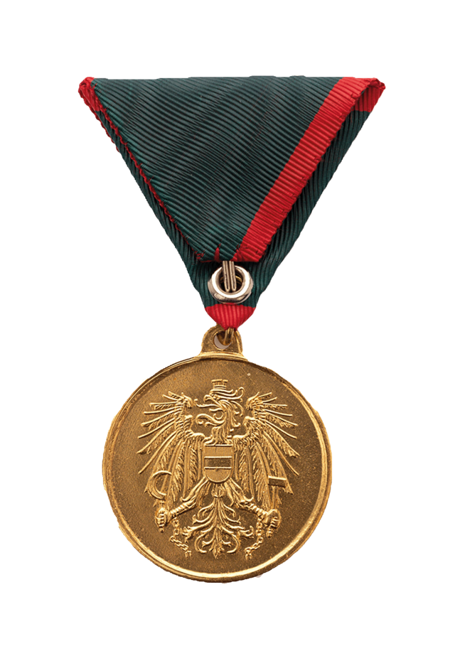 Verwundetenmedaille 1. Klasse BMLV Rückseite (Foto: Peter Steiner)