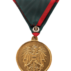 Verwundetenmedaille 1. Klasse BMLV Rückseite (Foto: Peter Steiner)