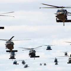 Eine Air Manoeuvre Brigade ist durch Einbindung der Lufttransport- und Luftunterstützungsmittel luftbeweglich. (Symbolfoto: U.S. Army/Joel Salgado; gemeinfrei)