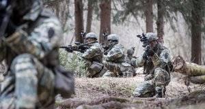 Die Grünen wollen eine spezialisierte Berufsarmee anstelle der Wehrpflicht. (Foto: Bundesheer/Daniel Trippolt)