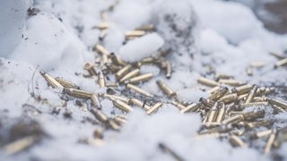 (Foto: Bundesheer/Daniel Trippolt)