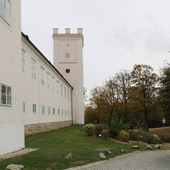 Schloss Ennsegg mit Schlosspark. (Foto: RedTD/Gerold Keusch)