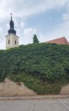 Mauer der Wehrkirche in Oberwölbling. (Foto: L. Aschenbrenner)