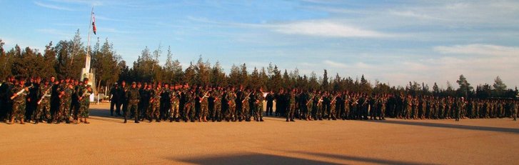 Die Schaffung der Nationalen Verteidigungskräfte diente vor allem einer Legitimierung privater- und konfessionellen Milizen, die auf der Seite des Assad-Regimes kämpfen. Viele davon wurden von der Syrischen Baath Partei aufgebaut, die unterdessen etwa sechs Einheiten in Brigade-Stärke an verschiedenen Fronten unterhält.