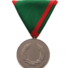 Verwundetenmedaille 2. Klasse BMI Vorderseite (Foto: Peter Steiner)